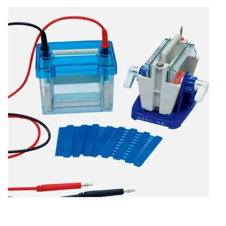 DYCZ-24DN Elektroforesis sel